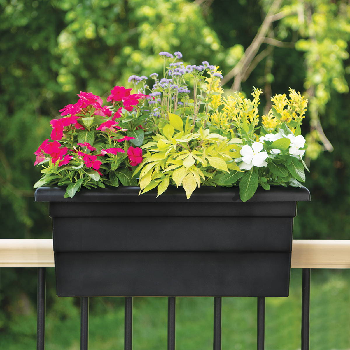 Black deck railing planter with annual plantings