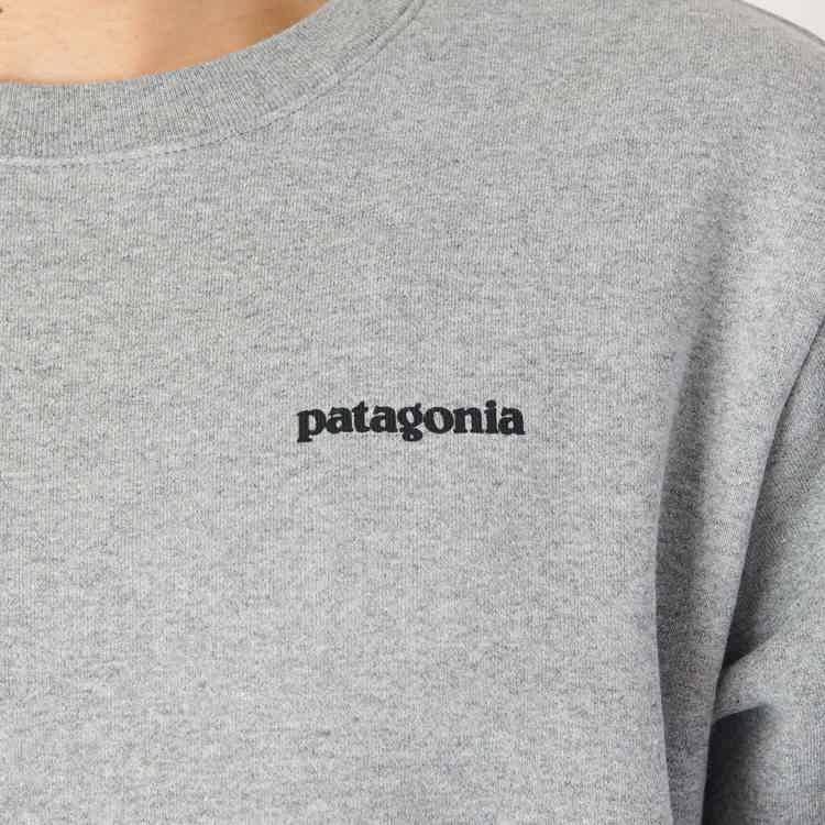 patagonia（パタゴニア） / フィッツロイアイコンアップライザルクルー 