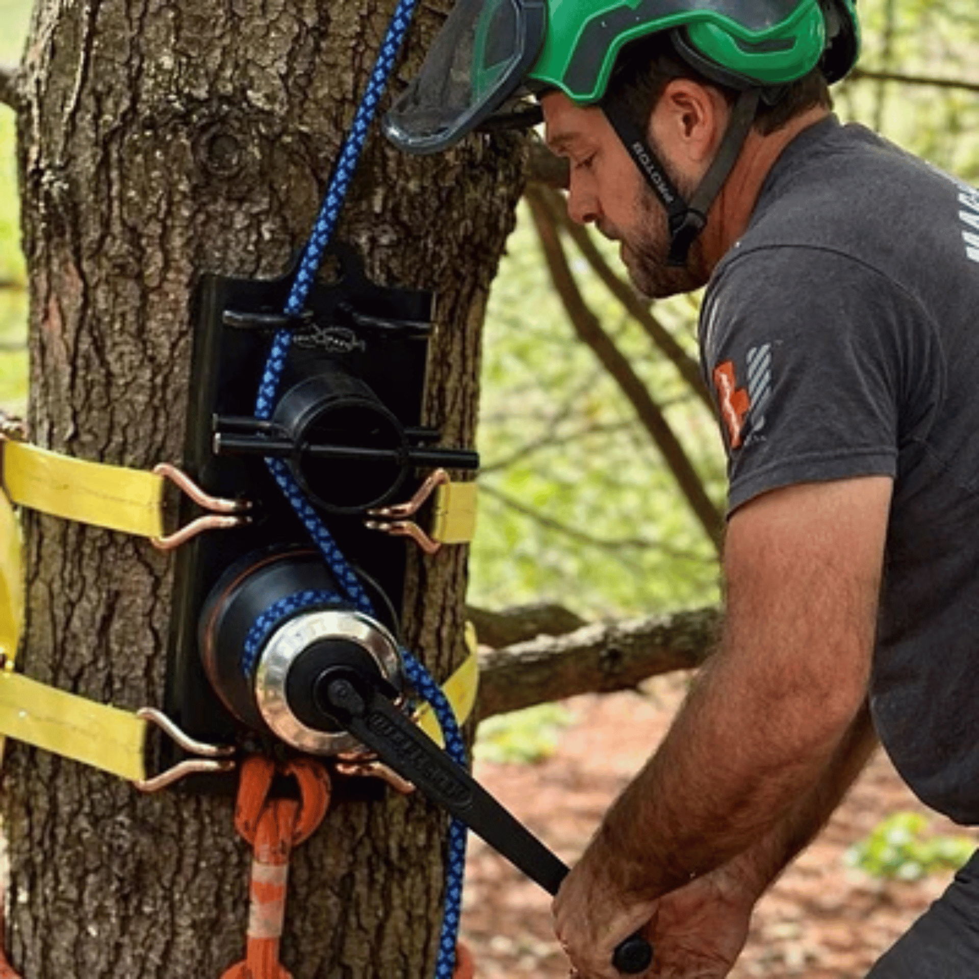 Worker using a pulley system on a tree for climbing or rigging.