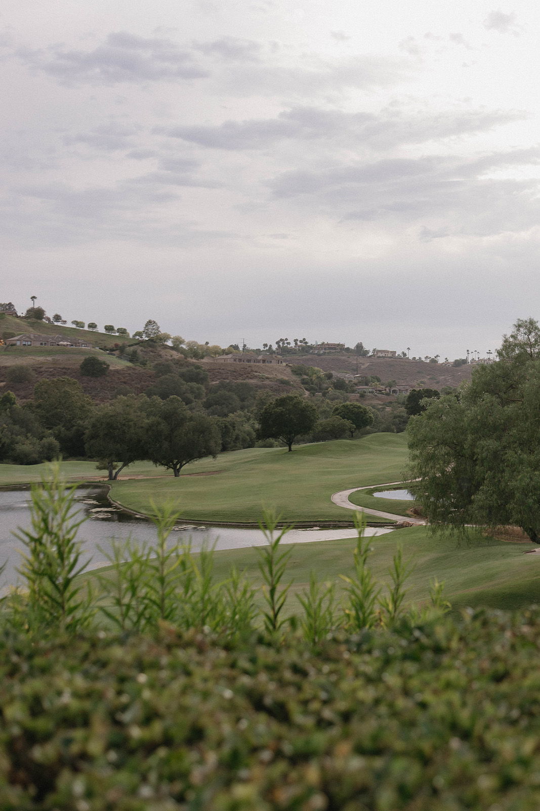 A scenic view of a golf course with trees and a winding path.