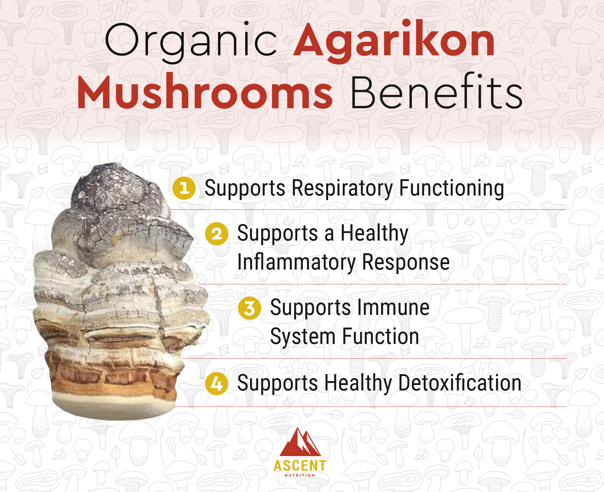 Why you should consider Agarikon Mushrooms
