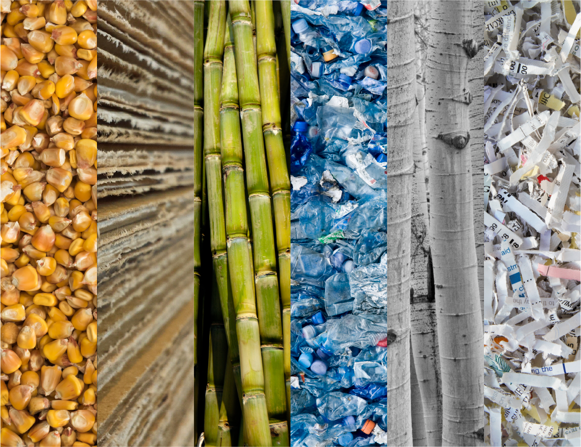 Collage image of corn, paper, sugarcane, plastic bottles, birch trees, and shredded paper