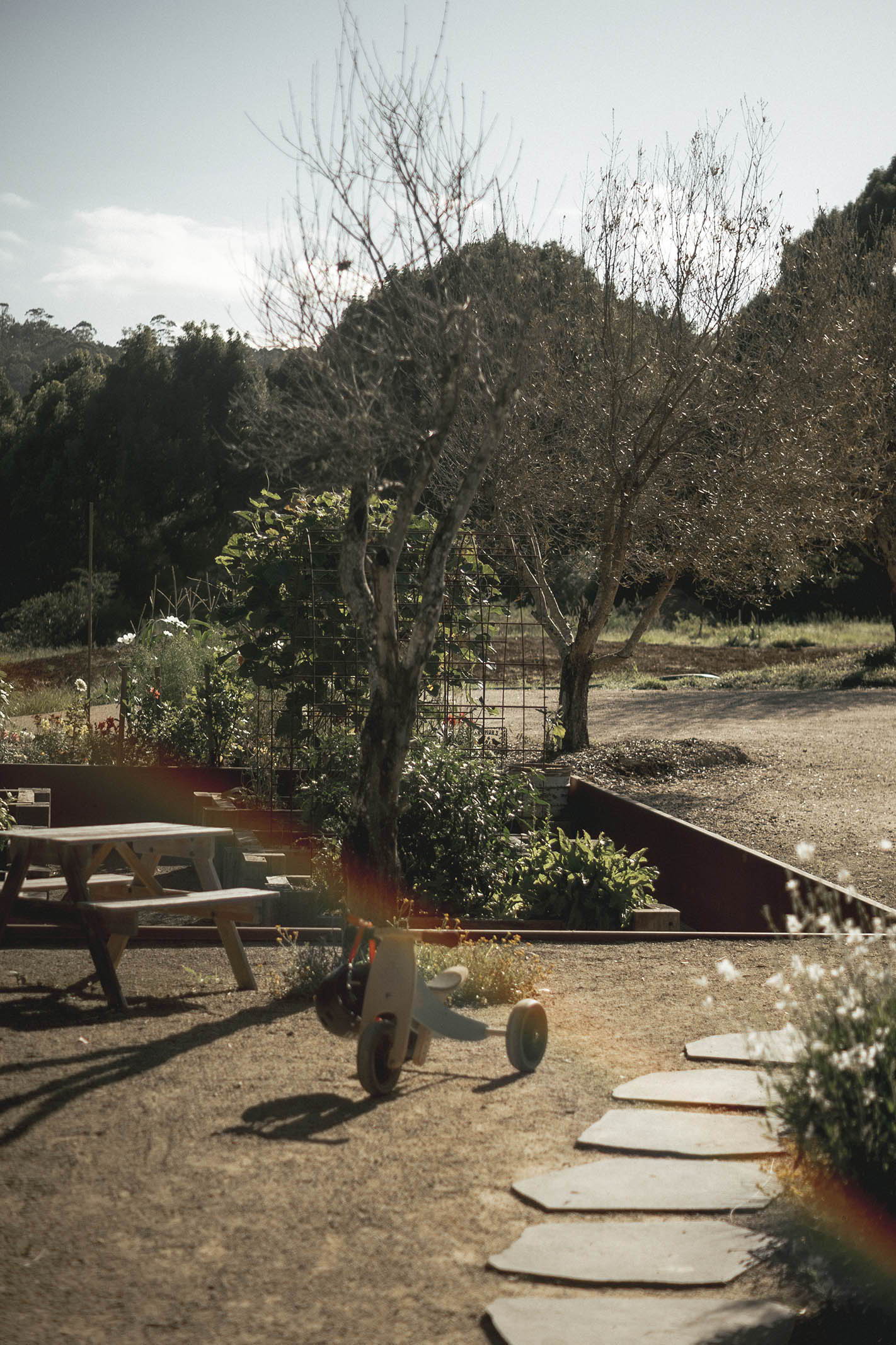 A serene outdoor space with trees, a path, and a wooden bench.