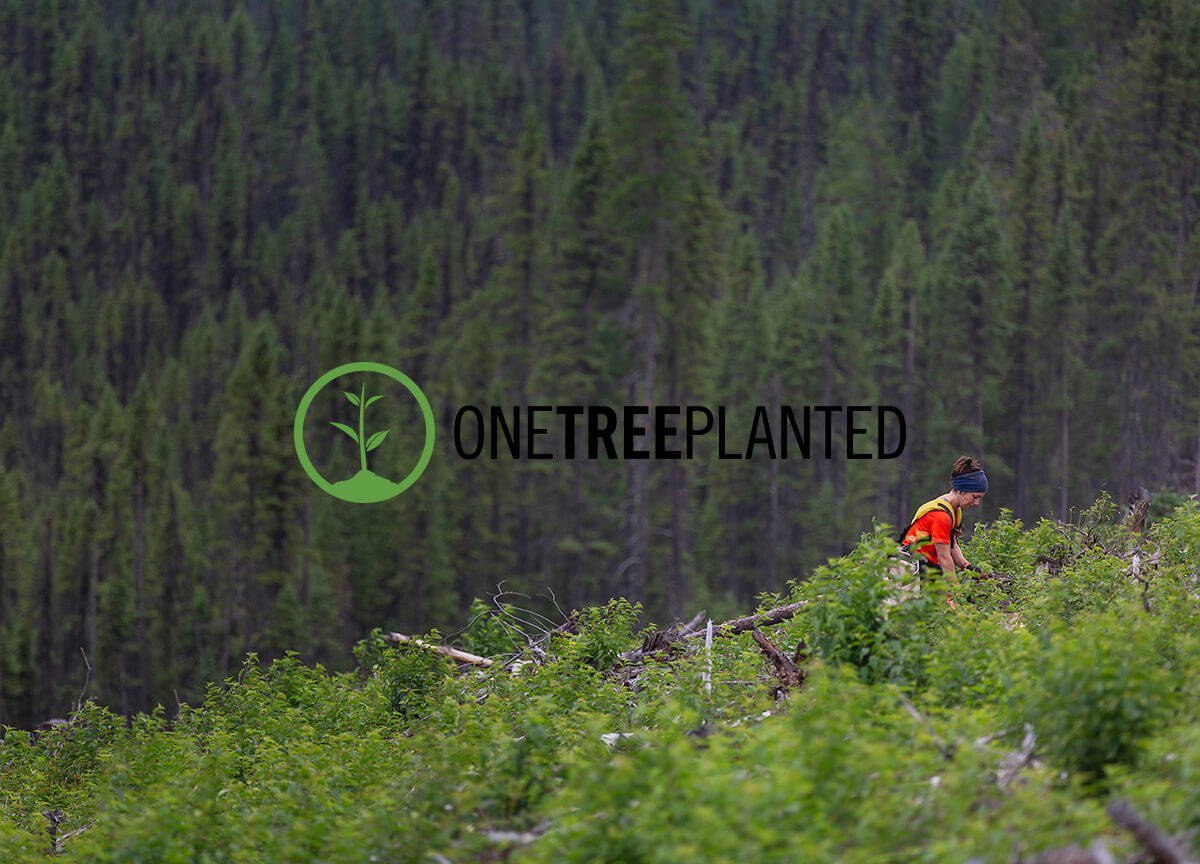 One Tree Planted