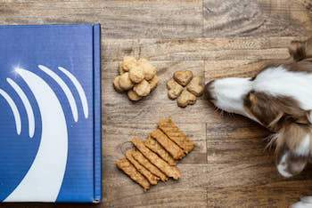 dog with treats on floor - AnimalBiome