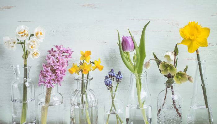 Flowers in vases