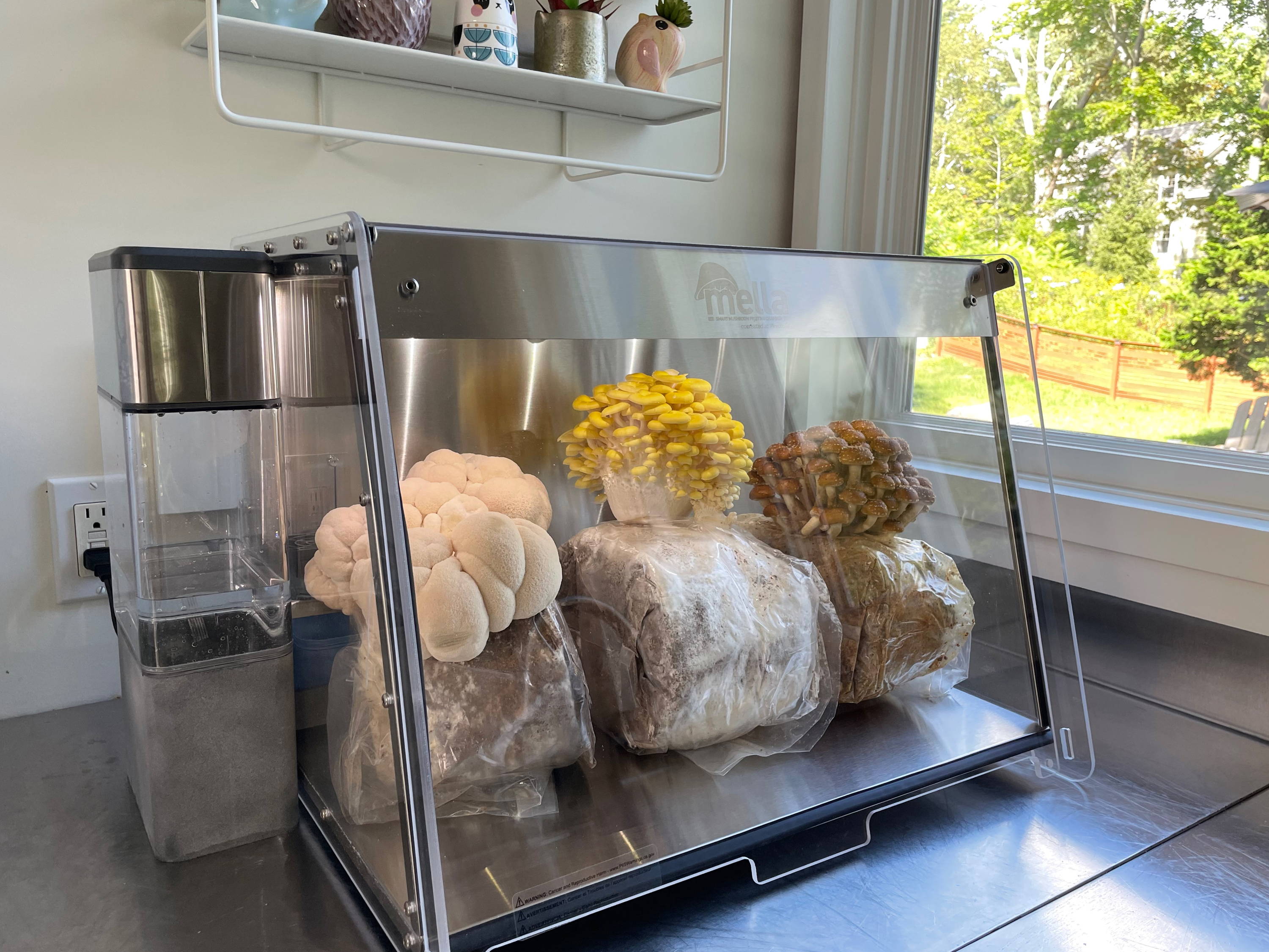 We Tested the Mella Smart Mushroom Fruiting Chamber—Here Are the Six Features We Loved – North Spore