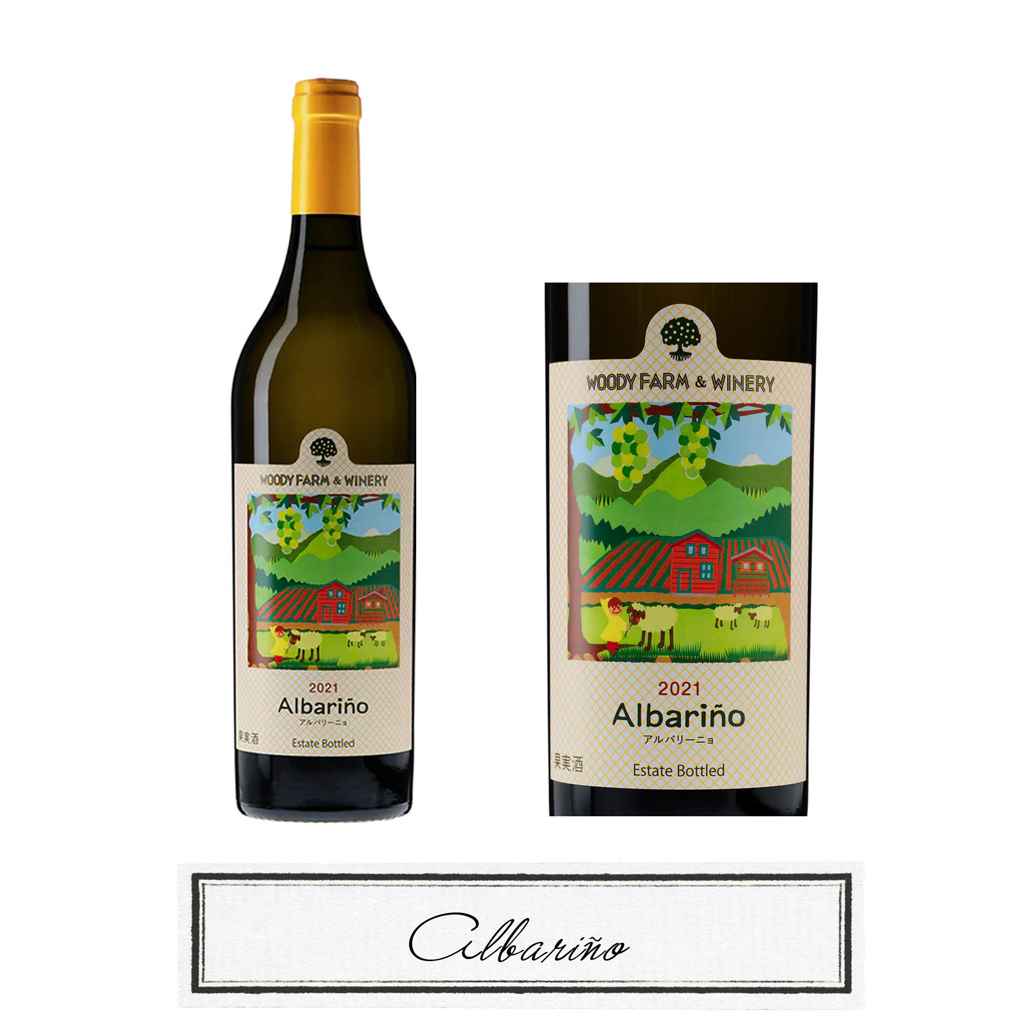 スペイン原産ブドウ品種「アルバリーニョ」の魅惑的な香りが広がる白ワイン『ウッディファーム＆ワイナリー/アルバリーニョ 2021』。