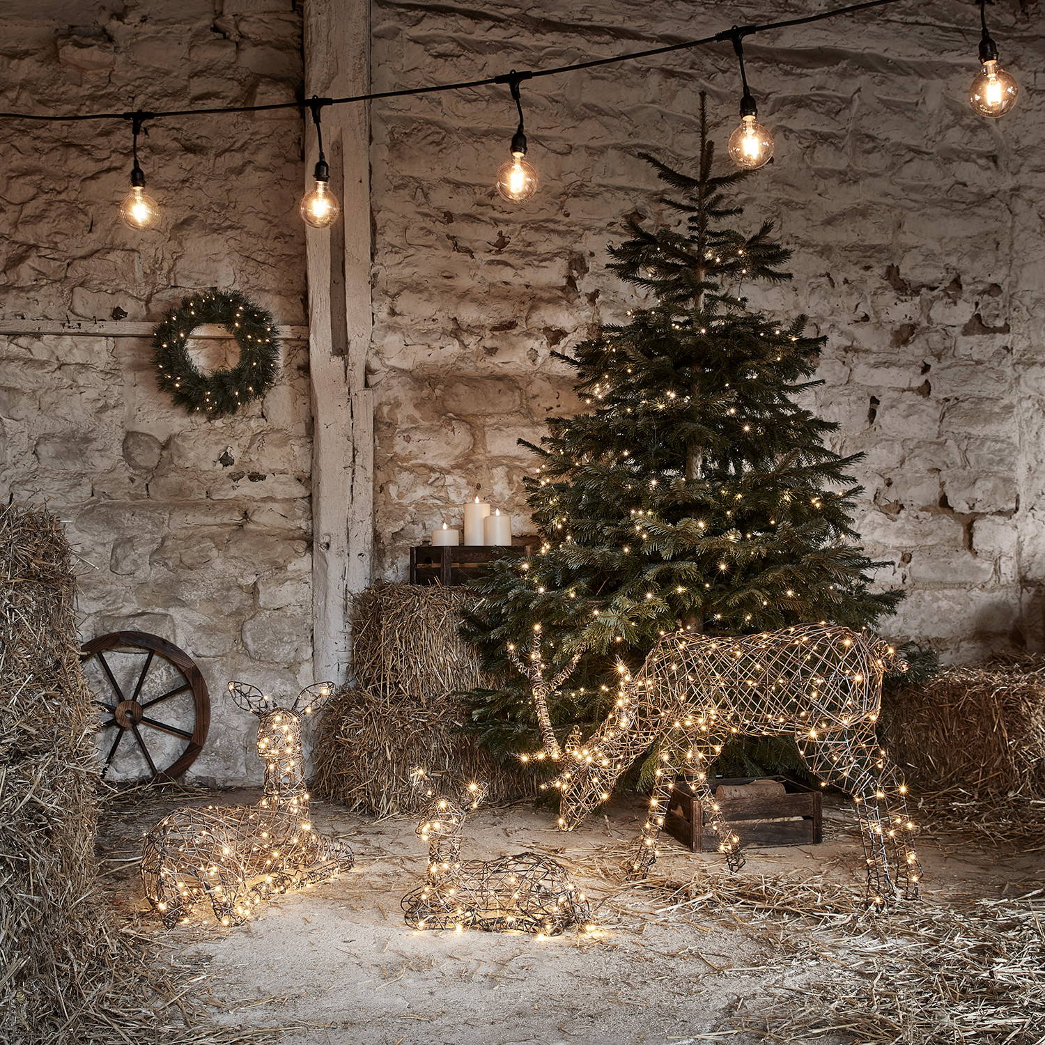 3 Studley reindeer in a Christmas barn setting with a Christmas tree, wreath and festoon lights.