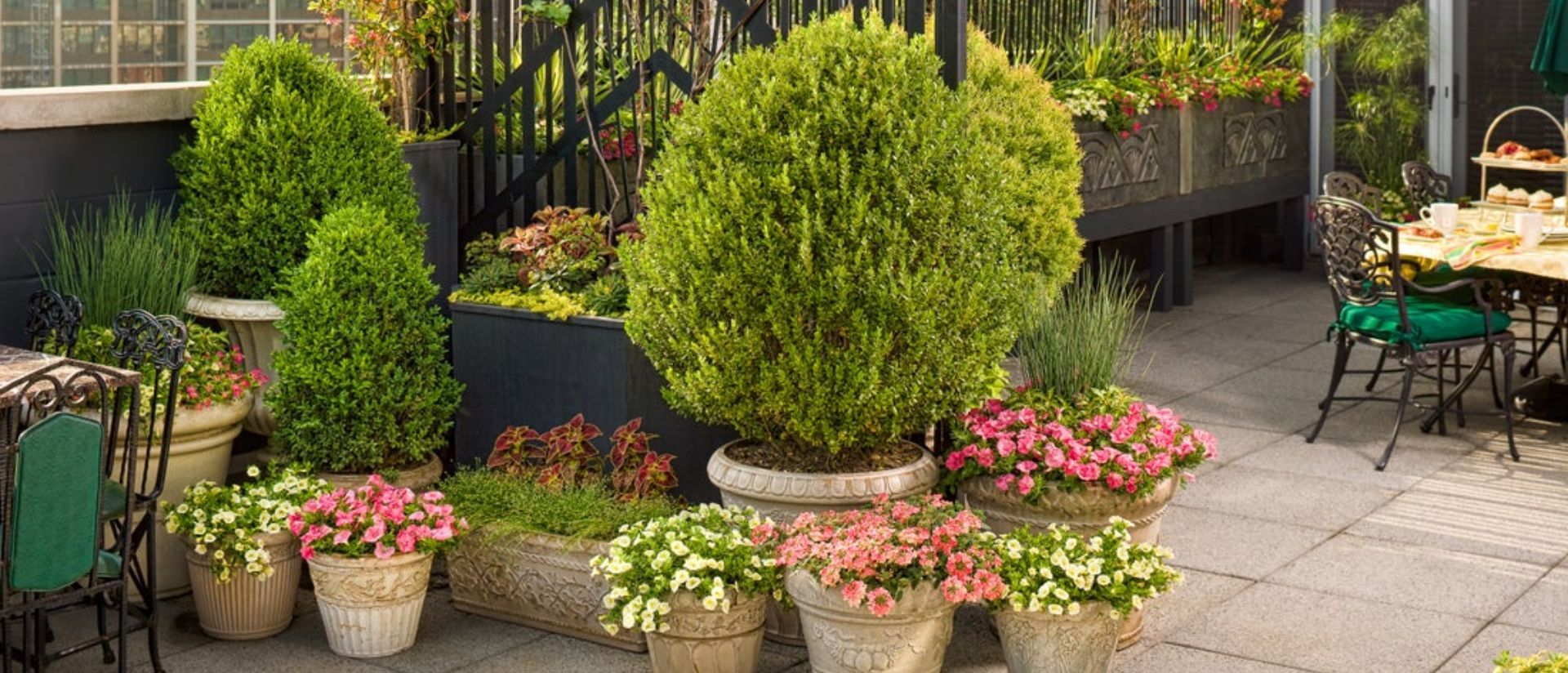 30% Off Select Annuals Garden Display
