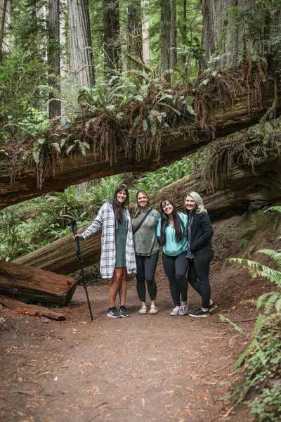 Aventura staff in redwood forest.