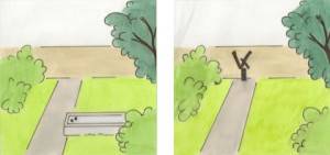 optical illusions