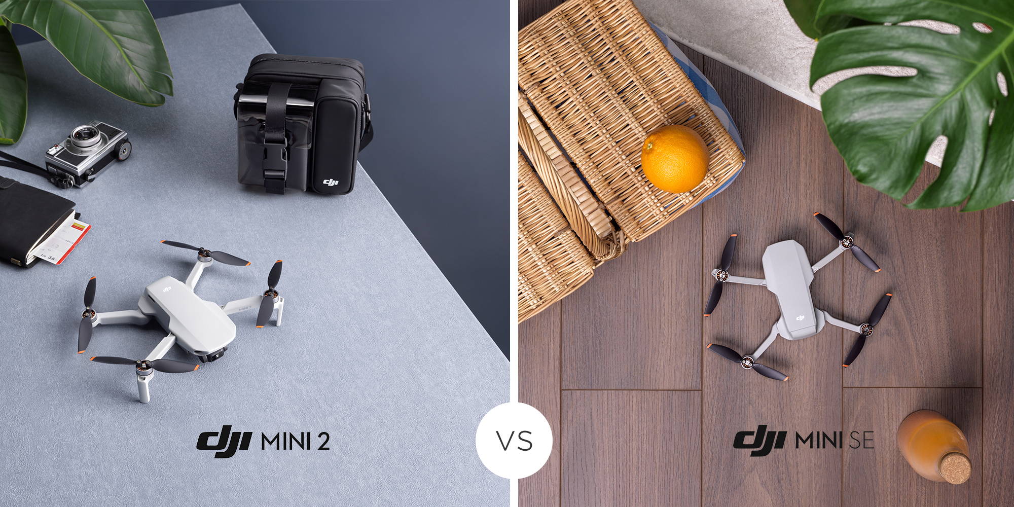 DJI SE vs DJI Mini 2: Mini is Right For You?