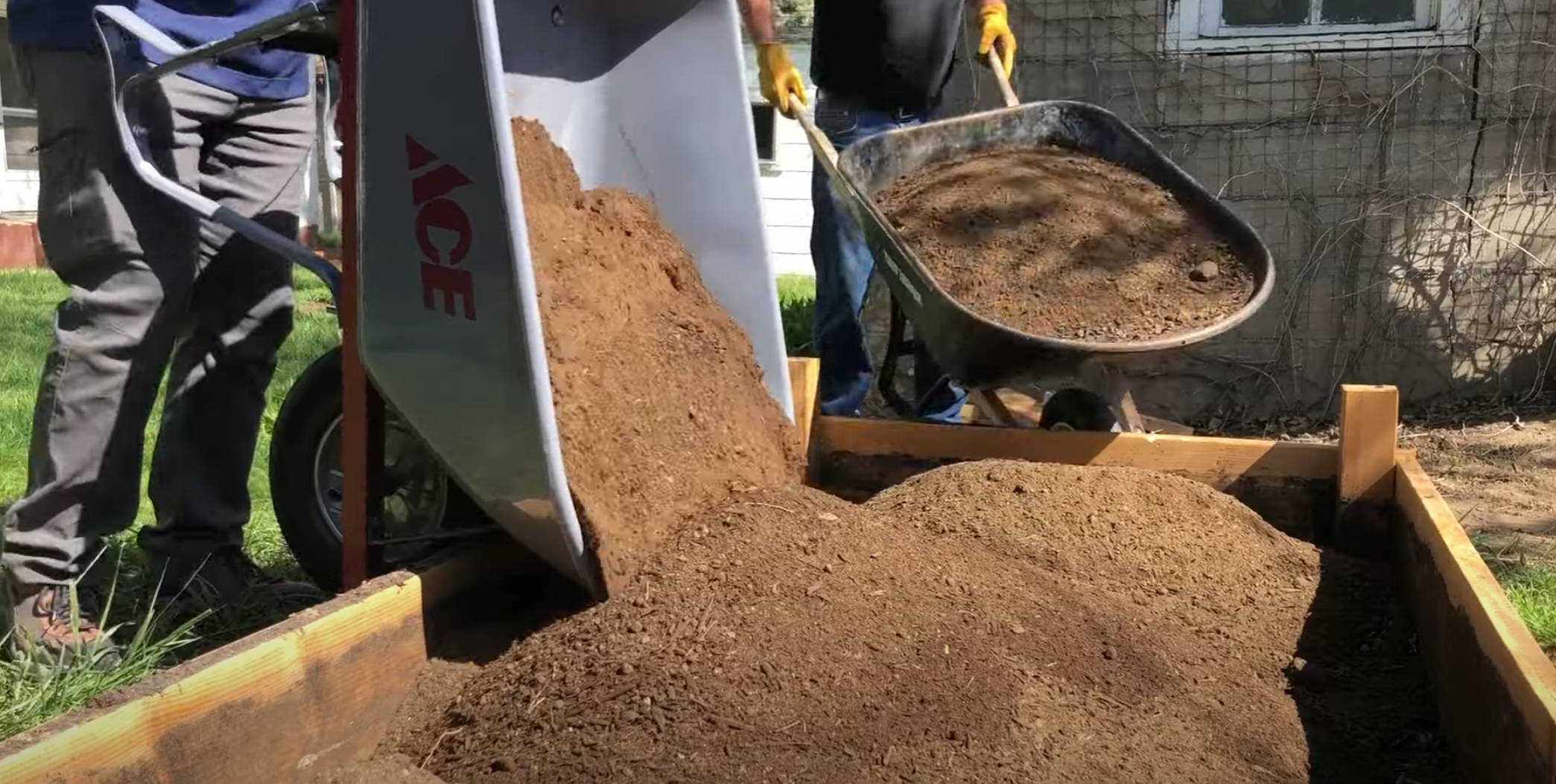 Wheelbarrow pouring composting and soil into garden bed