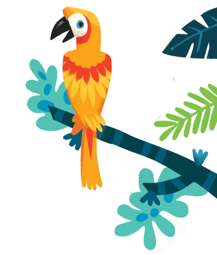 orange parrot on branch