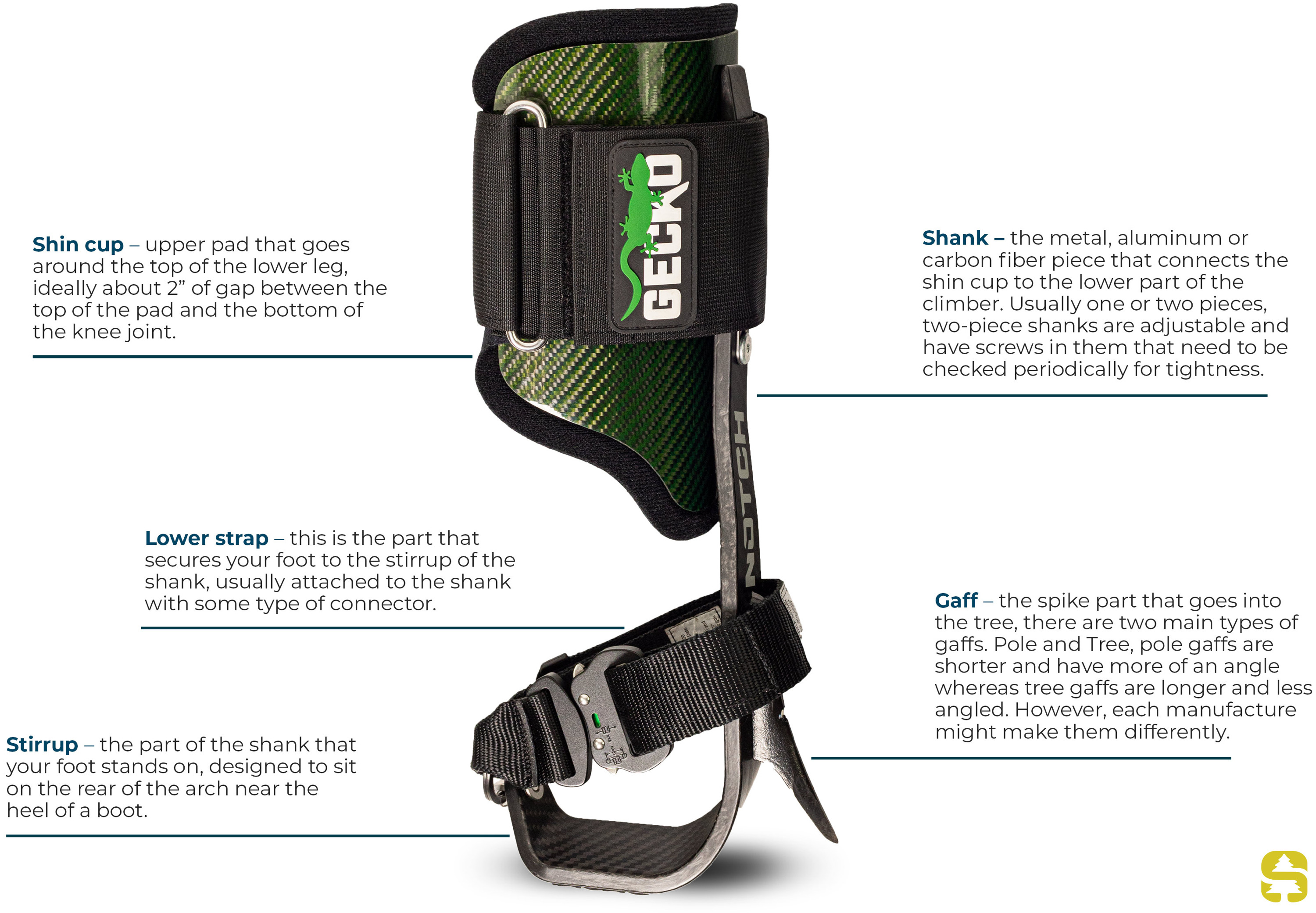 The Anatomy of a Climbing Spike