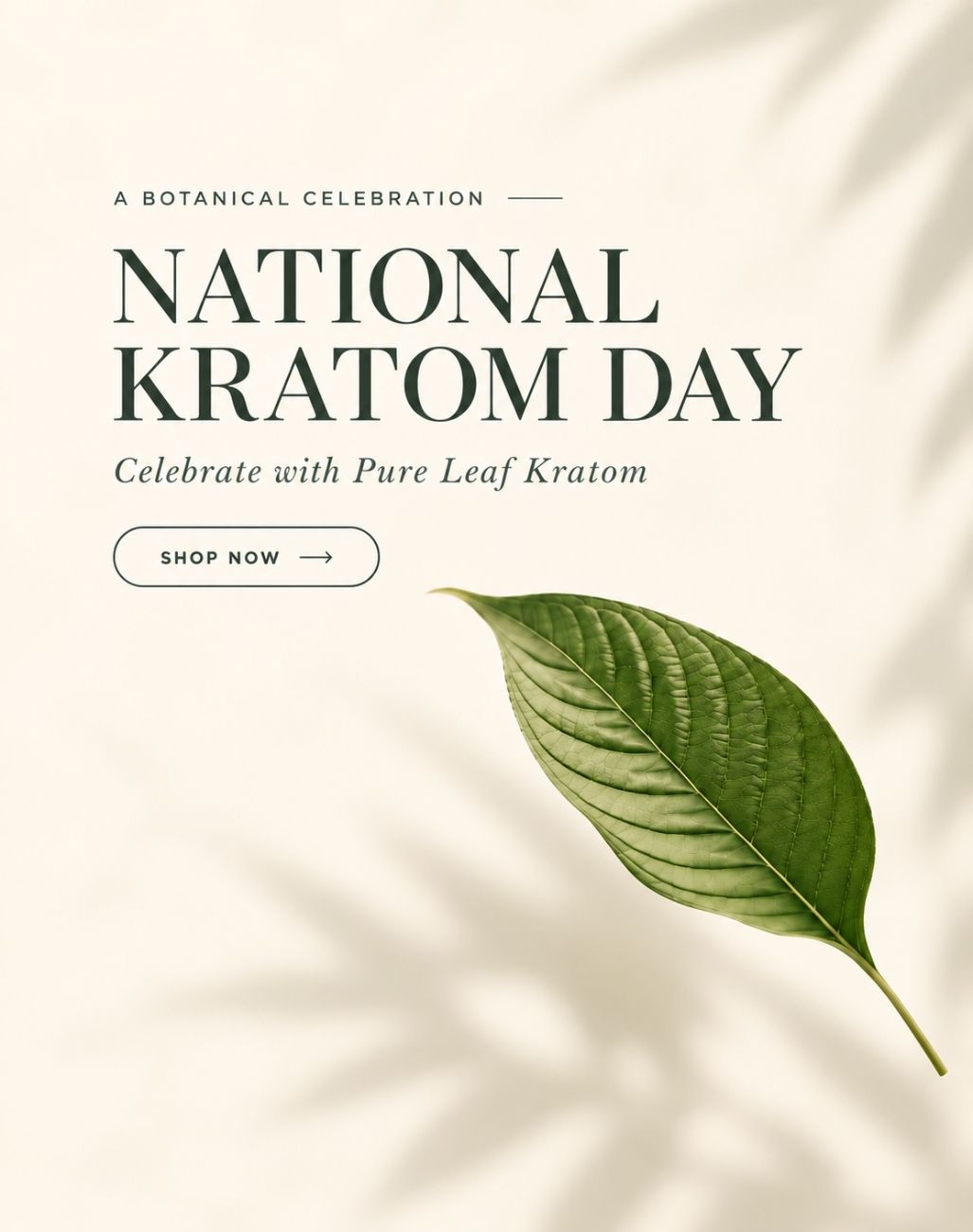 National Kratom Day celebration with a pure leaf kratom image.