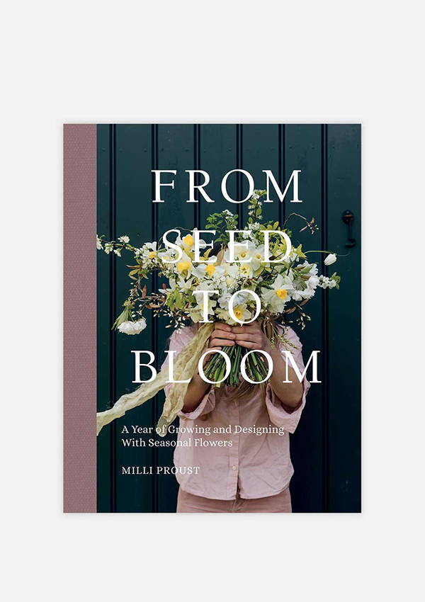 A product picture of the cover of the book From Seed to Bloom.
