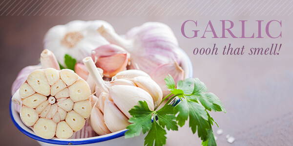 High Quality Organics Express Garlic