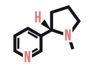 Was ist Nikotin? Die richtige Nikotinstärke
