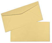More Business Envelopes