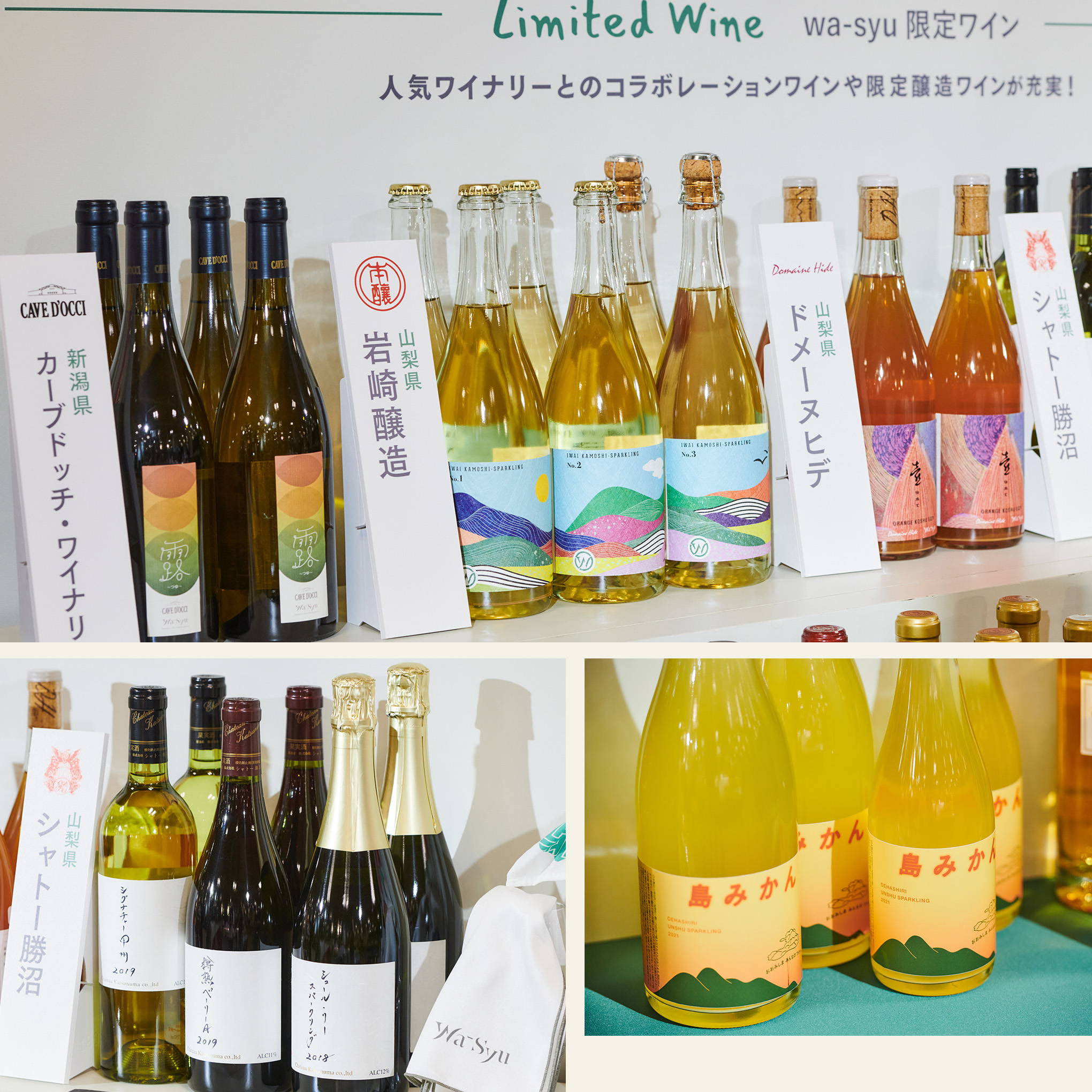 ソムリエやワインエキスパートが、『wa-syu』でしか手に入らない限定醸造やコラボレーションワインも紹介。珍しい希少銘柄やミカンのお酒なども！