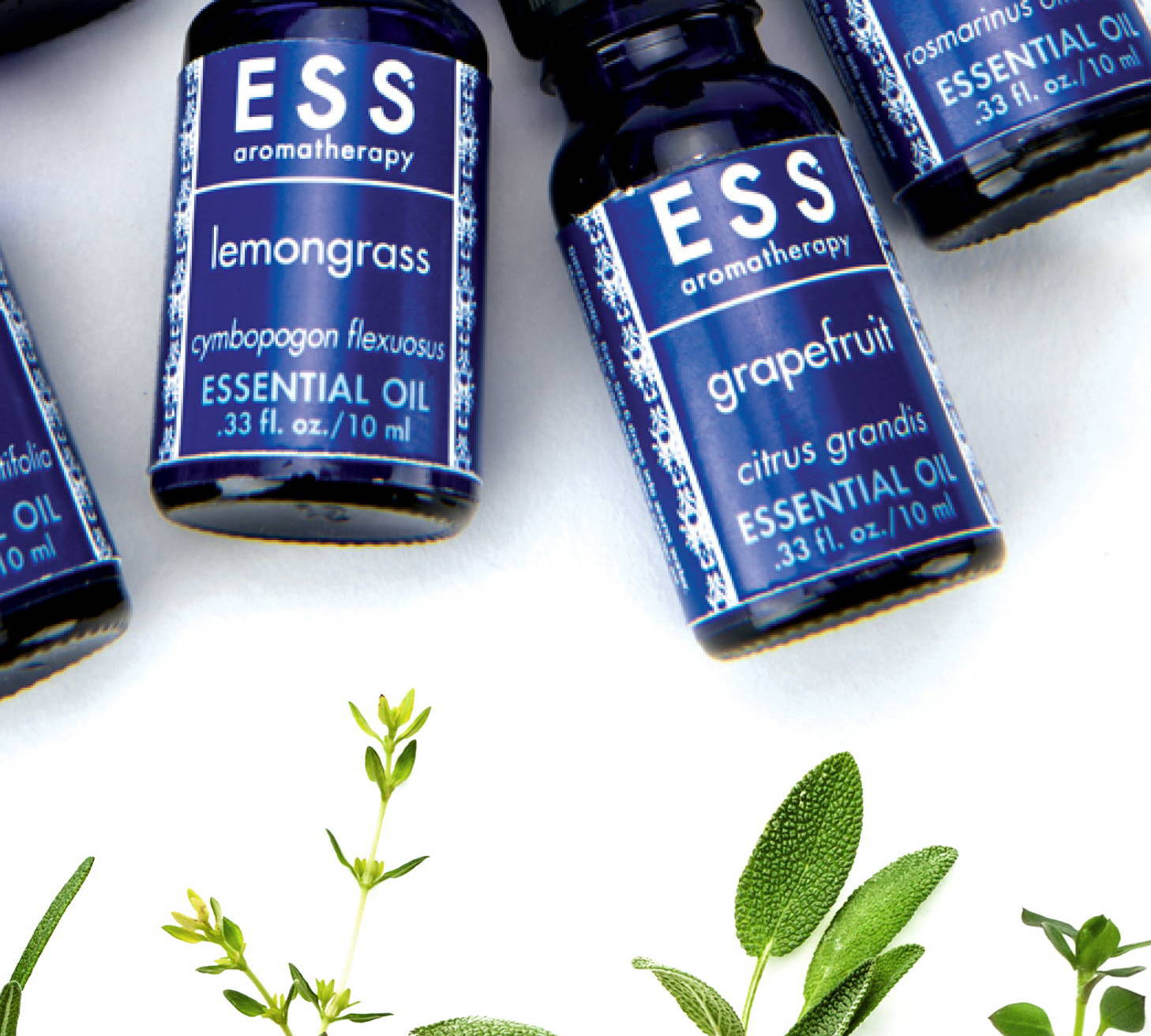 Understanding Essential Oil Top, Middle, and Base Notes