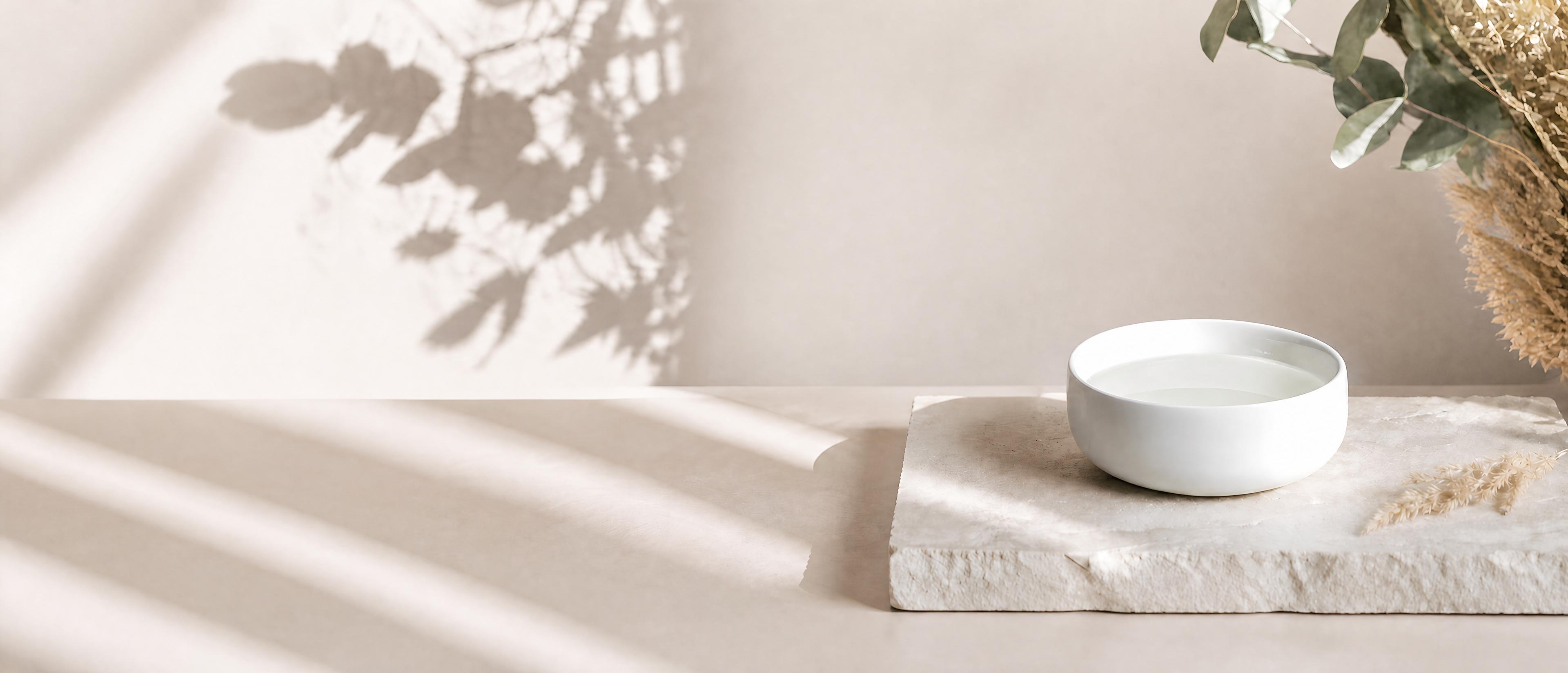 A minimalist scene with a white bowl and soft shadows on a neutral surface.