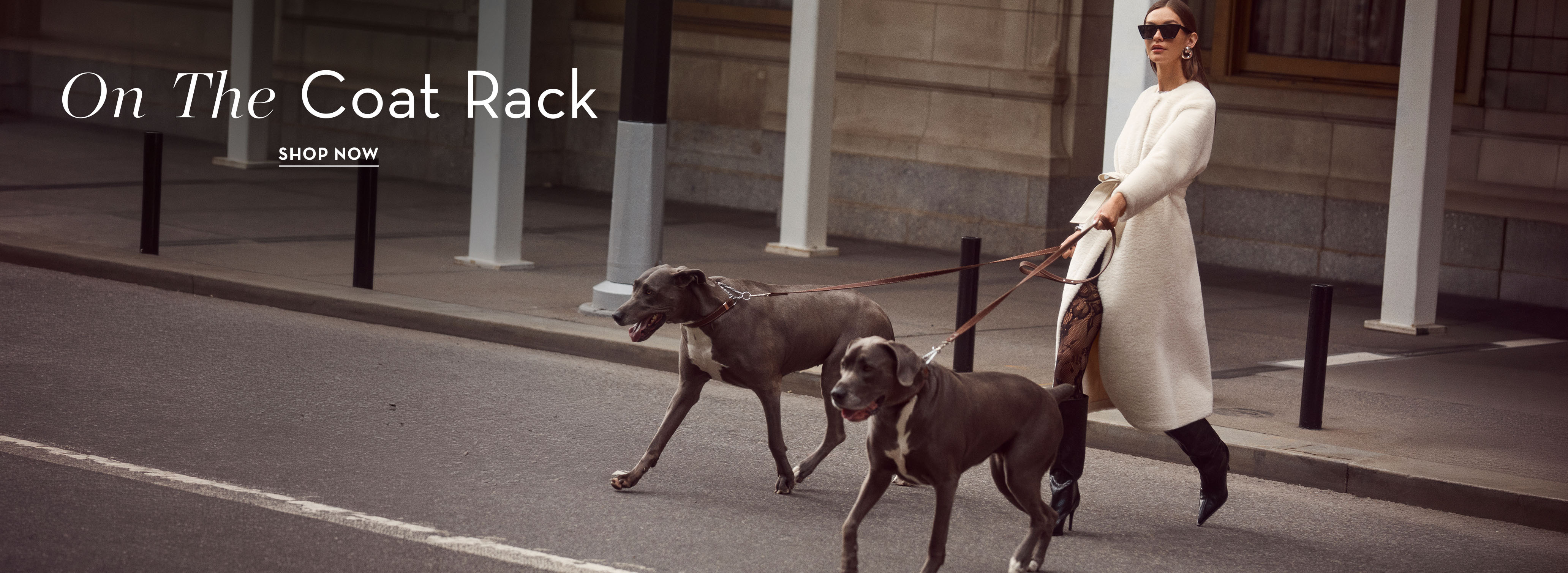 Woman walking two dogs on a city street.