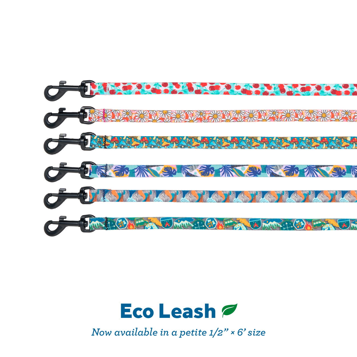 Colorful eco-friendly leashes displayed in a row.