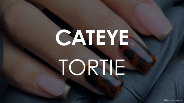 Cat Eye Tortie
