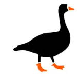 Brand with a Goose Logo