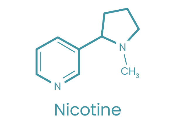 Chemical structure of nicotine with its name labeled below.