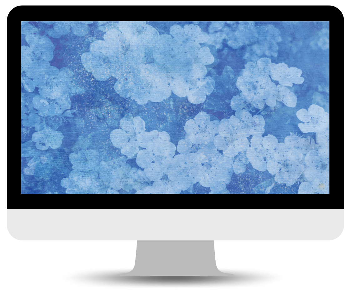 blue hydrangea desktop wallpaper