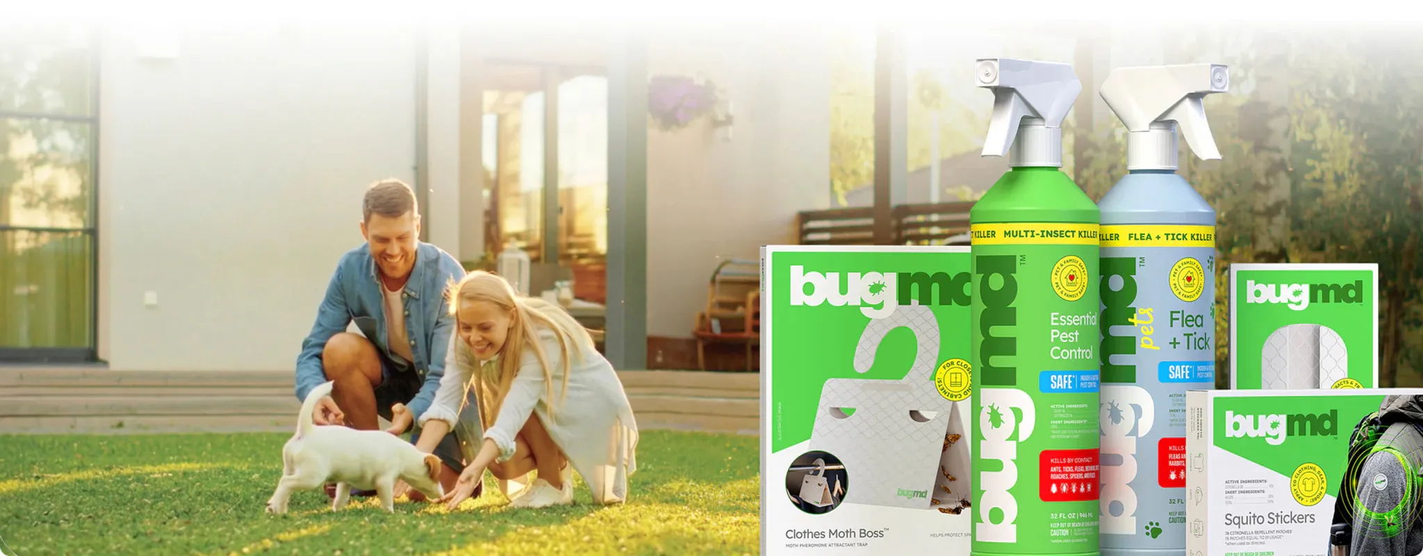 Reclaim Your Pest-Free Home