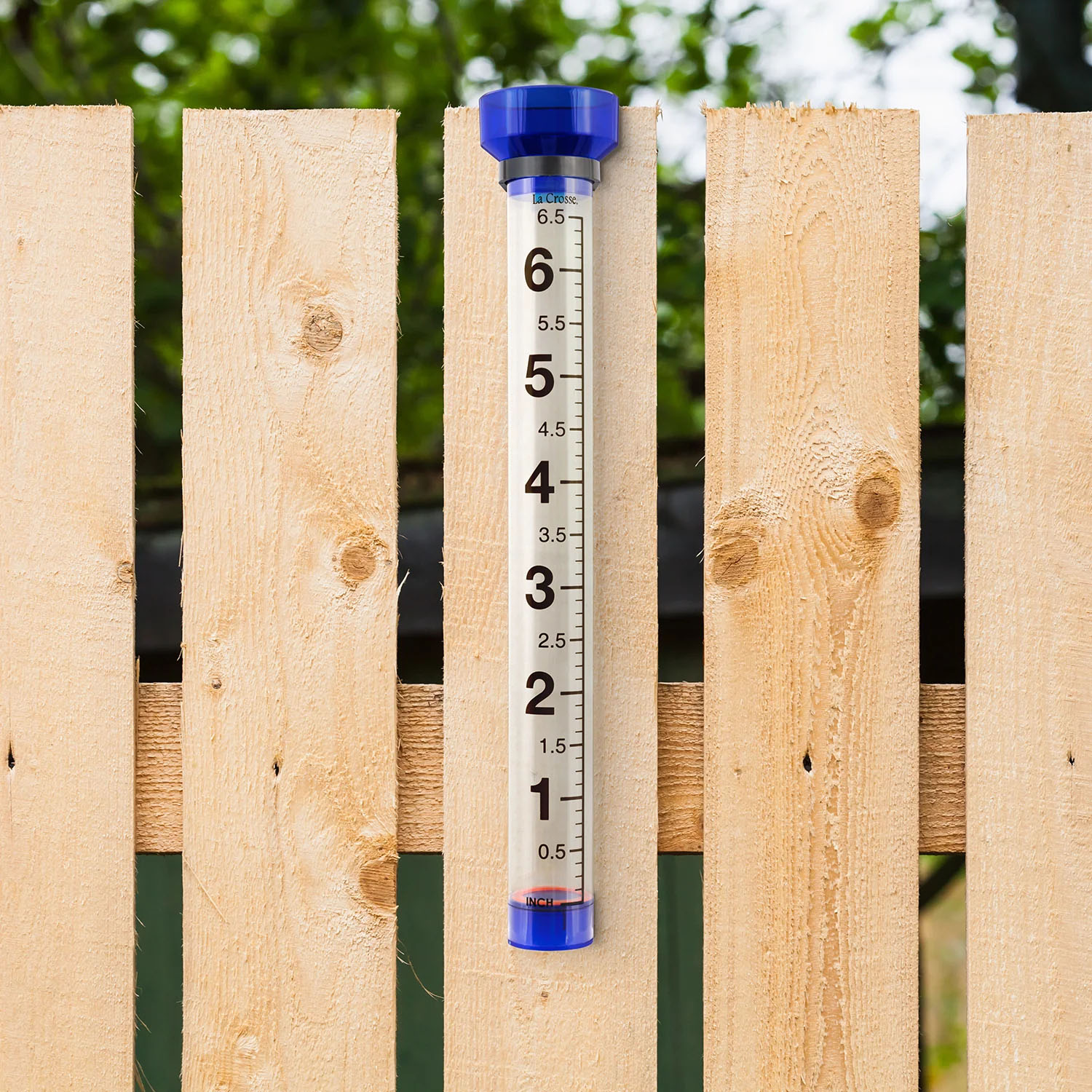 704-1549 clear jumbo rain gauge mounted on a wooden fence.
