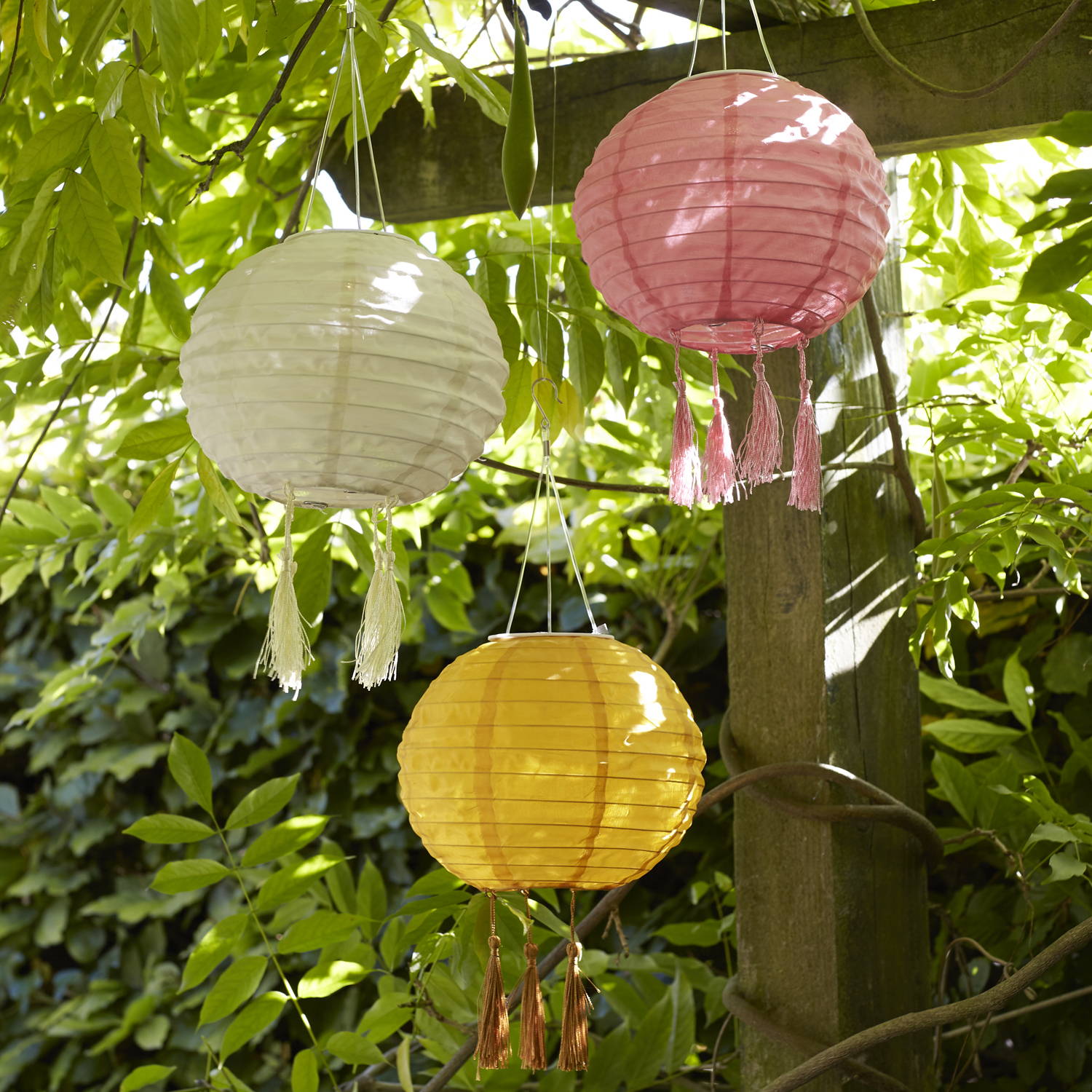 white, yellow and pink solar lanterns hanging from a tree outdoors.