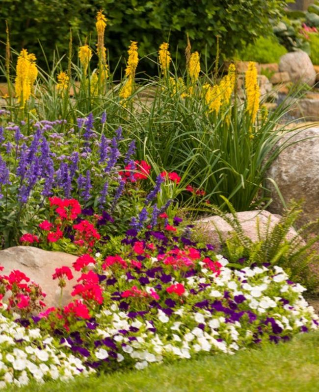 Garden full of colorful annuals and perennials