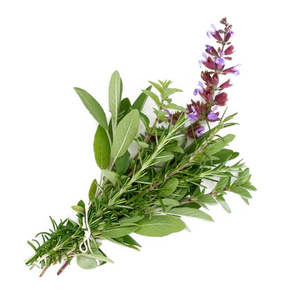 High Quality Organics Express bouquet garni with sage, rosemary, and lavender