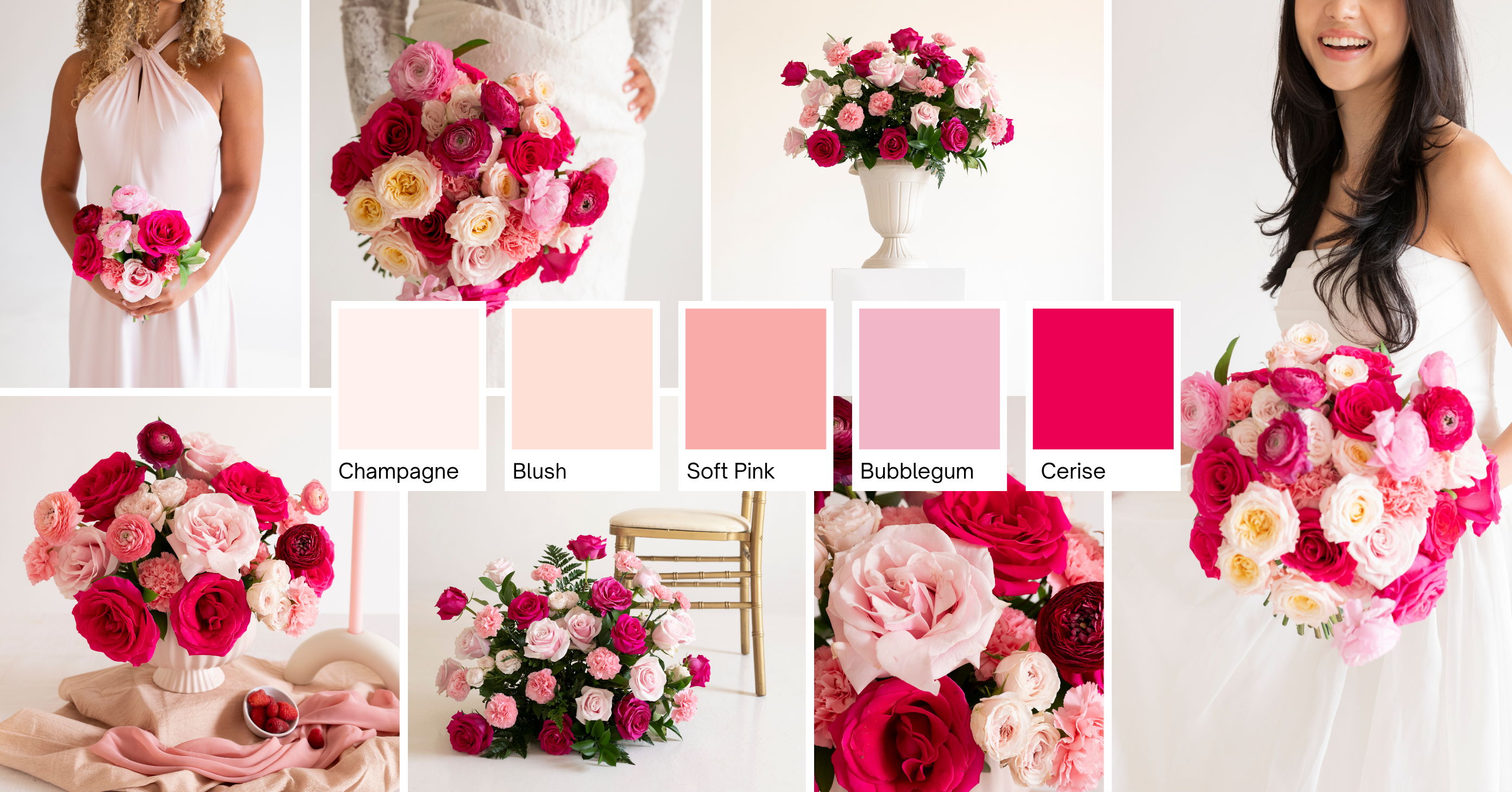 Pink Palette header
