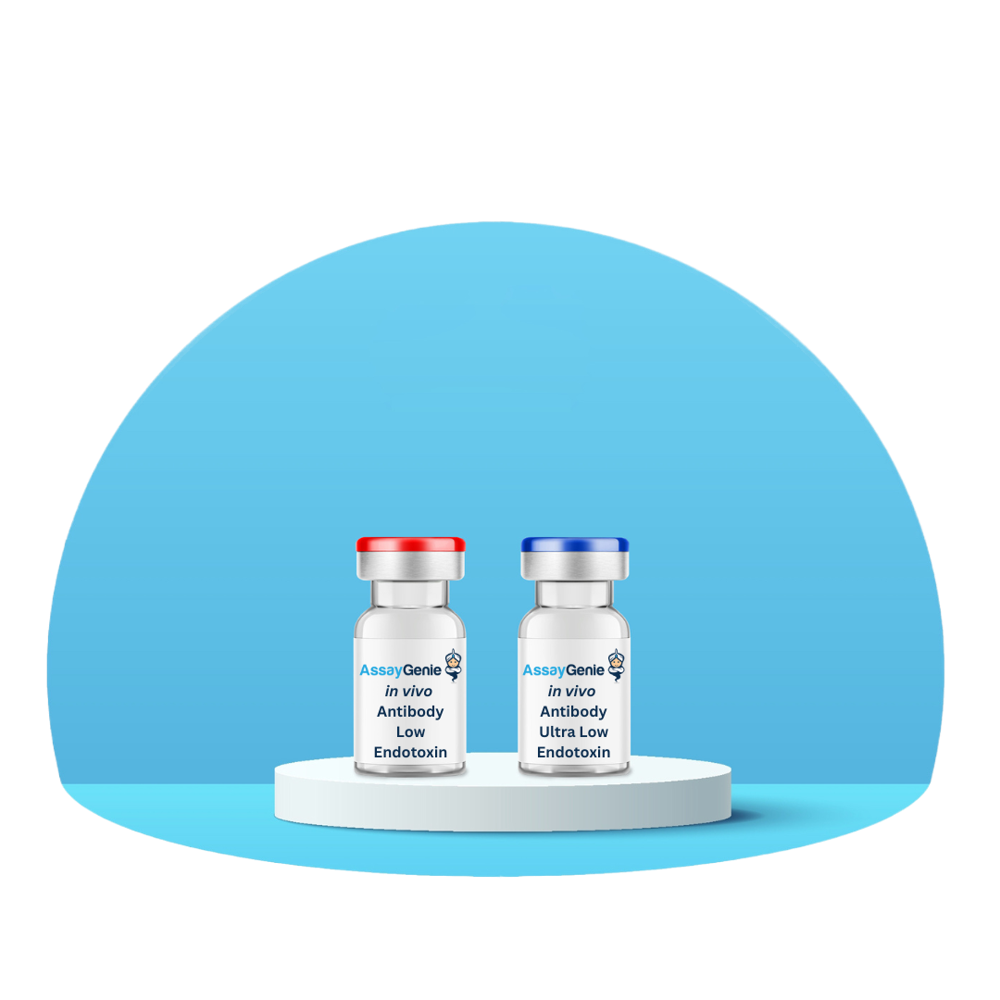 Functional-grade in vivo antibodies for preclinical drug development