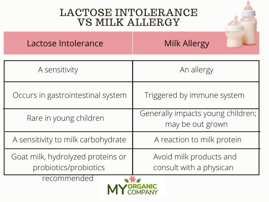 The Differences Between Lactose-Free and Dairy-Free