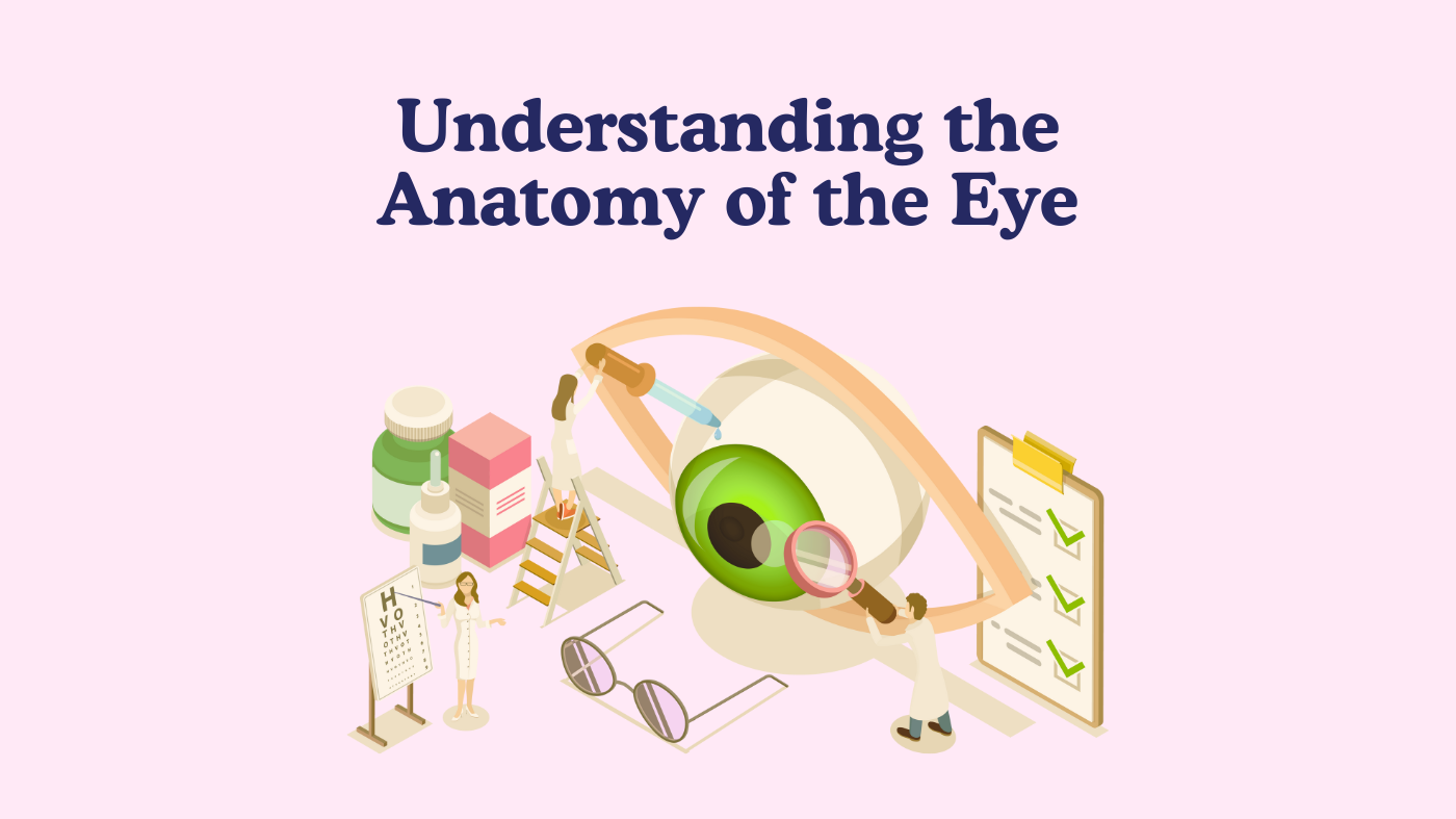 Understanding the Anatomy of the Eye