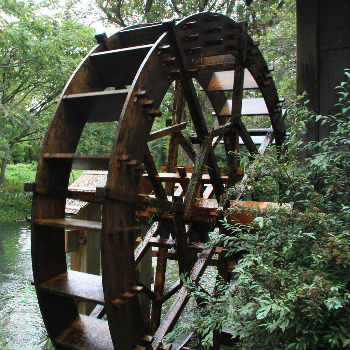 Human body represented as a water wheel illustrating flow-dependent metabolic function.