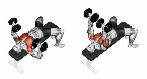 Complete Push Day Workout & 10 Exercises For Muscle Growth