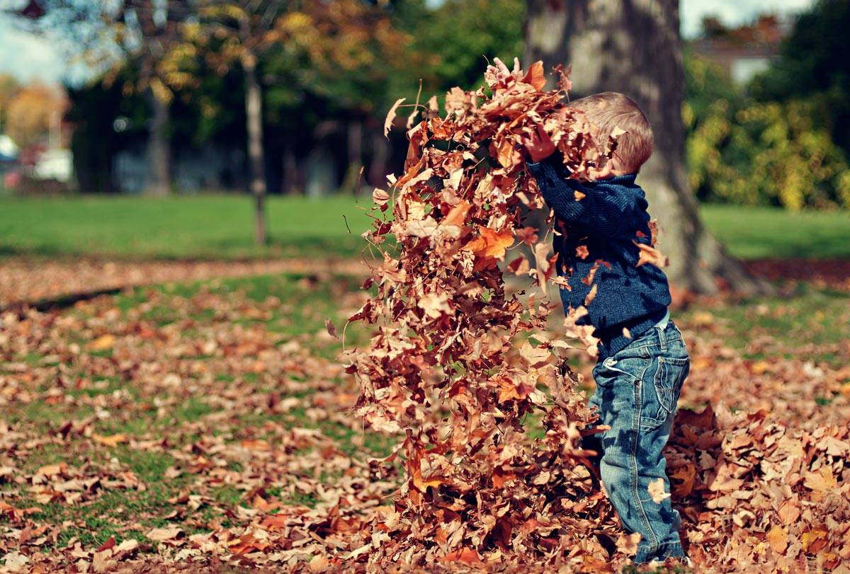 A young child throwing leaves in the air