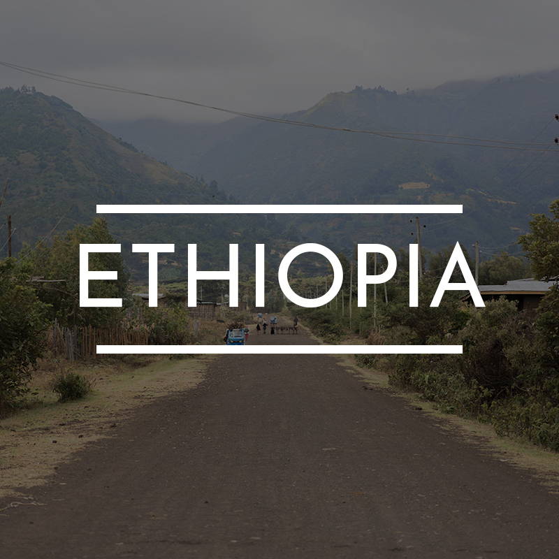 “ETHIOPIA” is written on top of an image of a dirt road in rural Yetreban Ethiopia.
