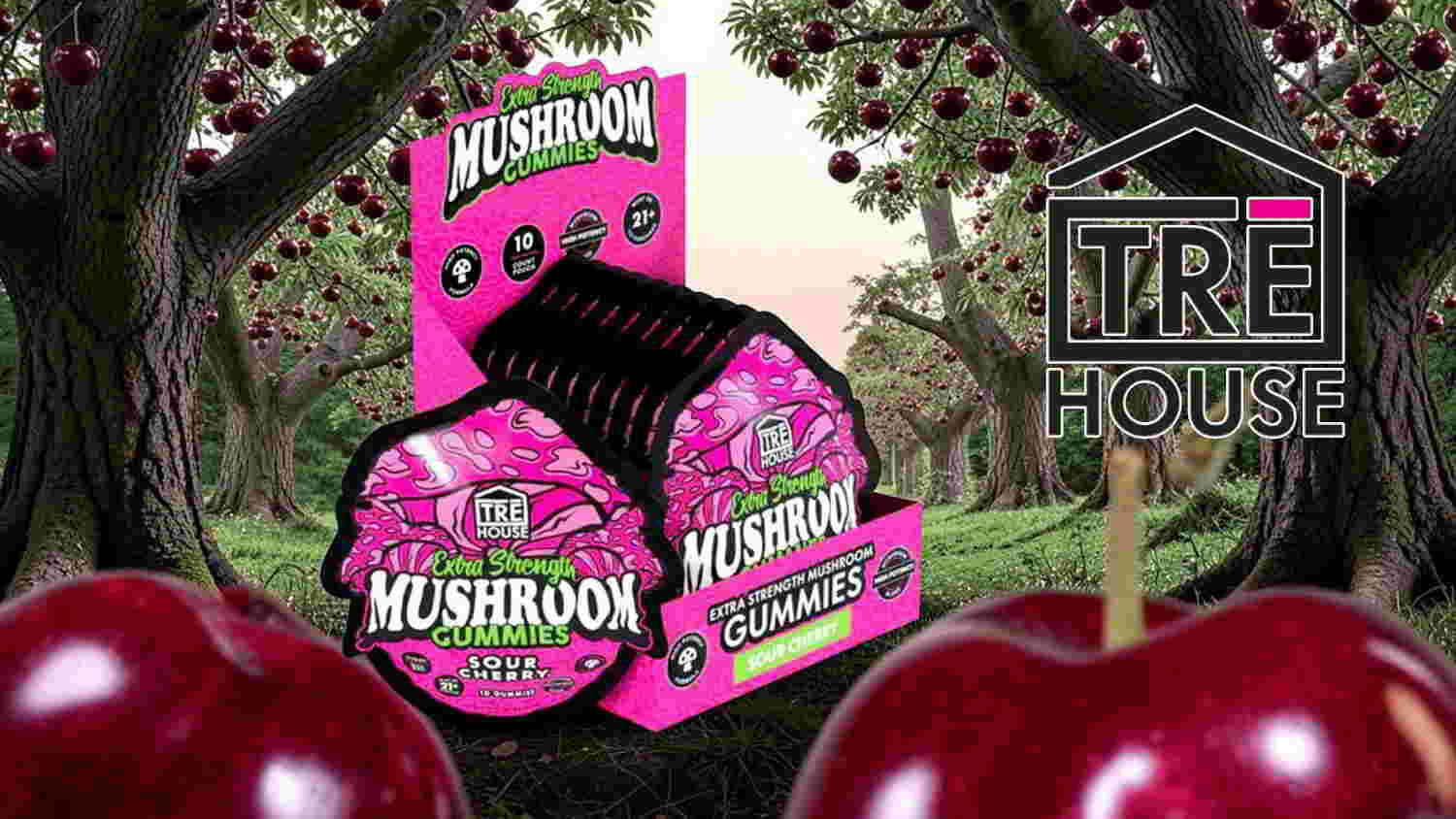 Mushroom product packaging surrounded by apples and a logo for TRE HOUSE.