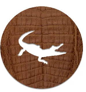 Caiman