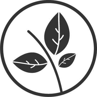Icon of leaves